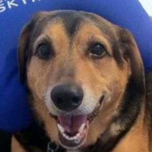 Meet your Posher, Duke